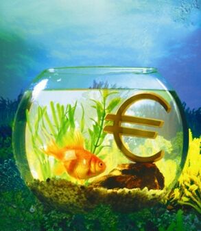acuario con peixes de ouro para atraer cartos